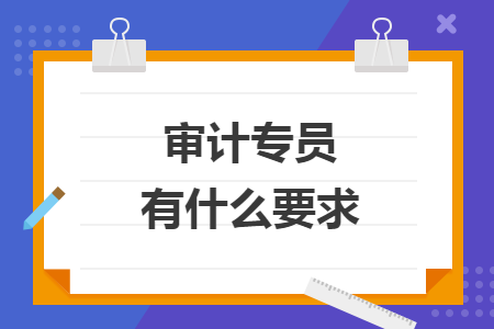 审计专员有什么要求