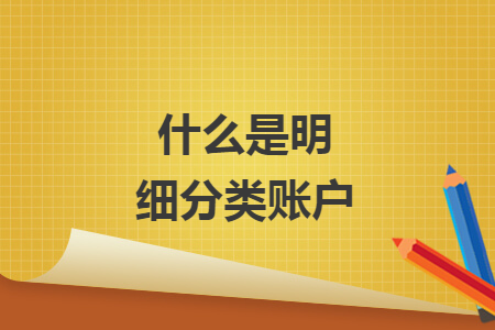 什么是明细分类账户