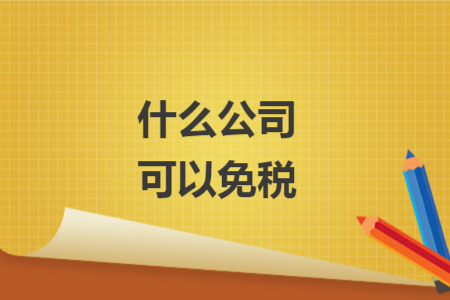什么公司可以免税