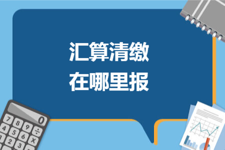 汇算清缴在哪里报
