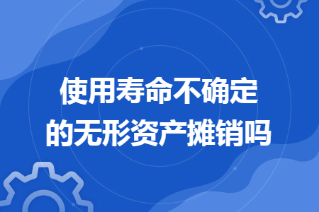 使用寿命不确定的无形资产摊销吗
