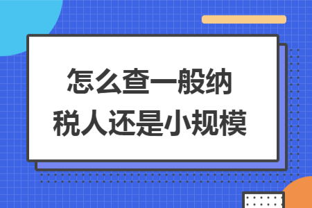 怎么查一般纳税人还是小规模