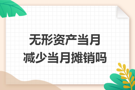 无形资产当月减少当月摊销吗