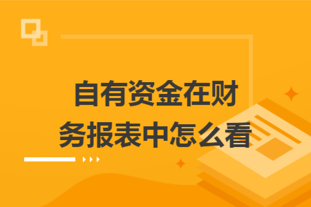 自有资金在财务报表中怎么看 自有资金在财务报表中怎么看