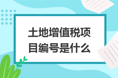 土地增值税项目编号是什么