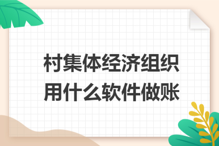 村集体经济组织用什么软件做账