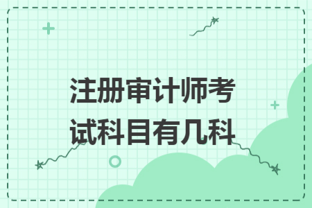 注册审计师考试科目有几科