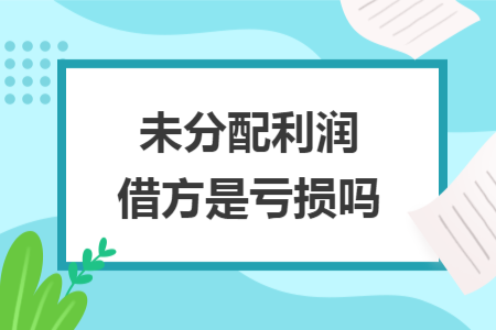 未分配利润借方是亏损吗