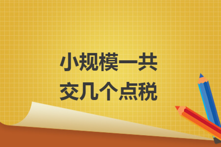小规模一共交几个点税