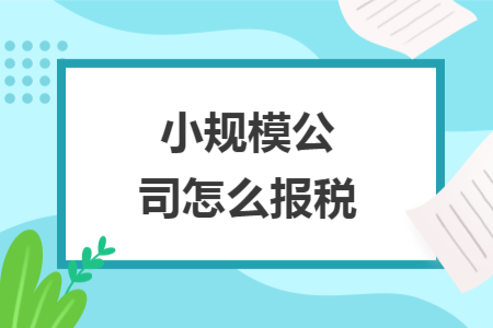 小规模公司怎么报税