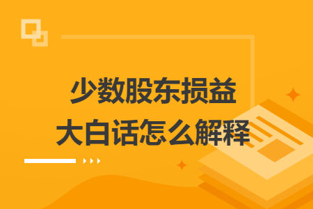 少数股东损益大白话怎么解释