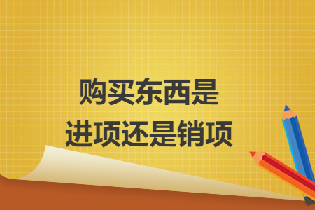 购买东西是进项还是销项