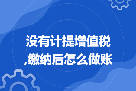 没有计提增值税,缴纳后怎么做账