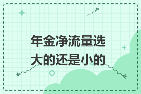 年金净流量选大的还是小的