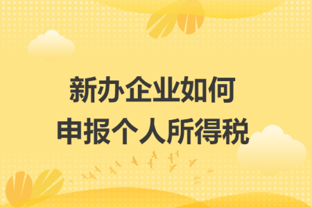 新办企业如何申报个人所得税