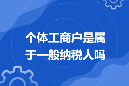 个体工商户是属于一般纳税人吗