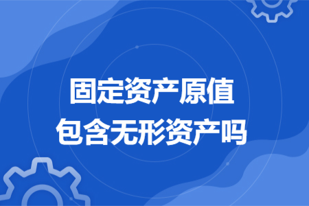固定资产原值包含无形资产吗