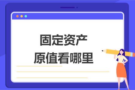 固定资产原值看哪里