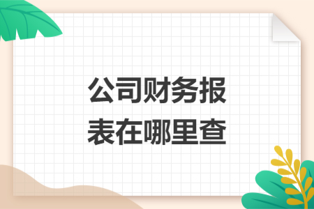 公司财务报表在哪里查