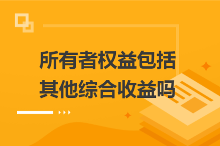 所有者权益包括其他综合收益吗