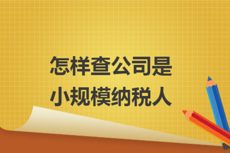 怎样查公司是小规模纳税人