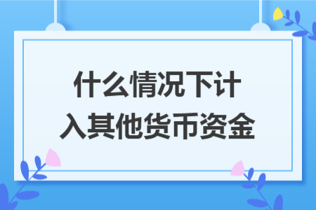 什么情况下计入其他货币资金