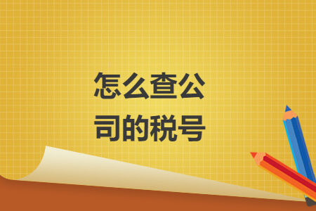 怎么查公司的税号