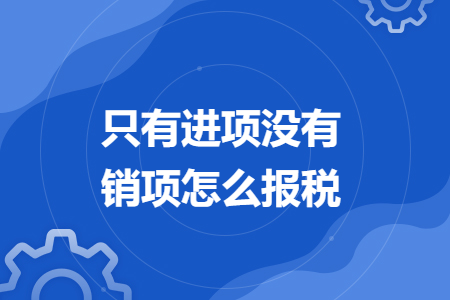 只有进项没有销项怎么报税