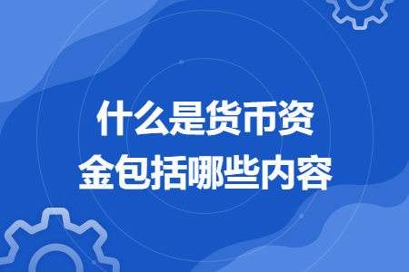 什么是货币资金包括哪些内容