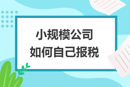 小规模公司如何自己报税