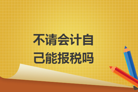 不请会计自己能报税吗