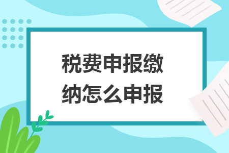 税费申报缴纳怎么申报