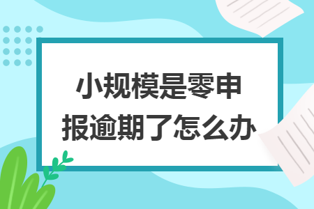 小规模是零申报逾期了怎么办