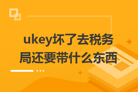 ukey坏了去税务局还要带什么东西