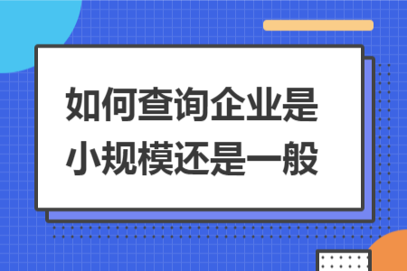 如何查询企业是小规模还是一般