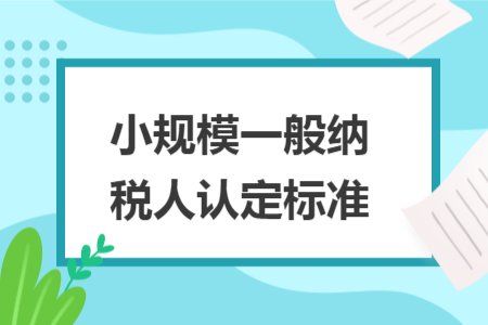 小规模一般纳税人认定标准