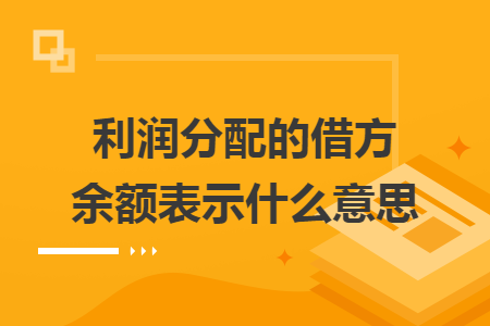 利润分配的借方余额表示什么意思