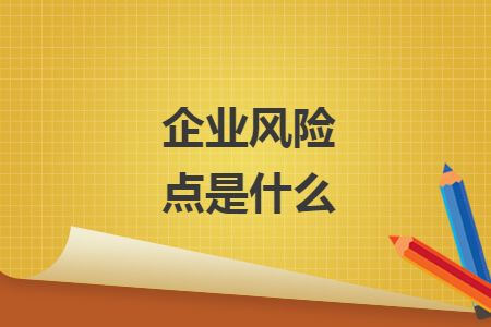 企业风险点是什么