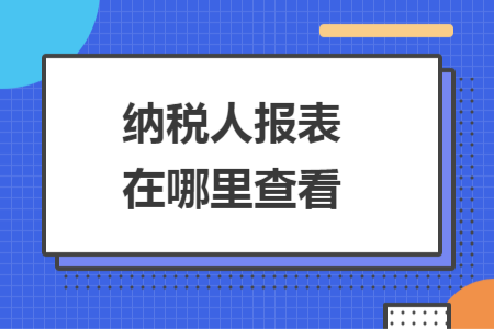 纳税人报表在哪里查看