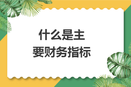 什么是主要财务指标