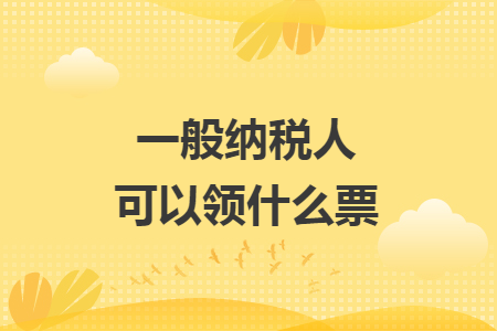 一般纳税人可以领什么票