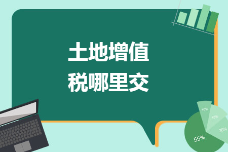 土地增值税哪里交