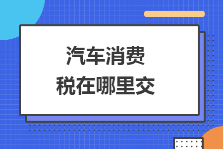 汽车消费税在哪里交