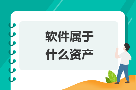 软件属于什么资产