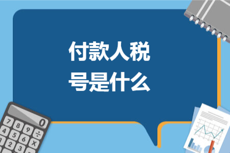 付款人税号是什么