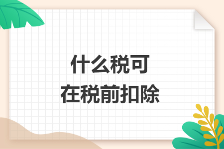 什么税可在税前扣除