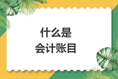什么是会计账目