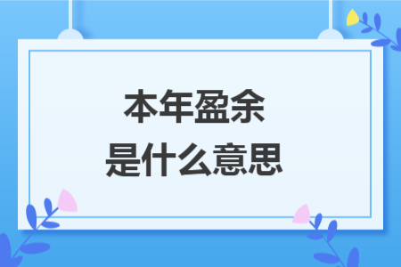 本年盈余是什么意思