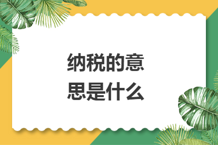 纳税的意思是什么