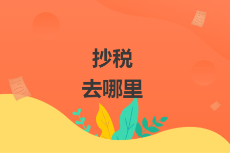 抄税去哪里